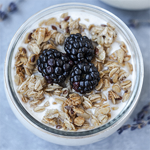 økologisk Hjemmelavet skyr, sund fastfood